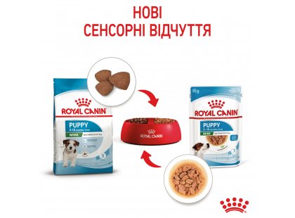 Фото - влажный корм (консервы) Royal Canin MINI PUPPY влажный корм для щенков мелких пород от 2 до 10 месяцев