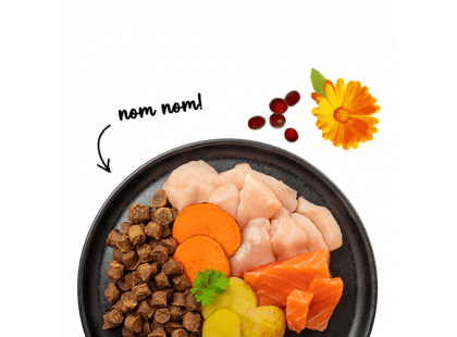 Фото 5 -  сухой корм Bosch Sanabelle Juicy Salmon беззерновой мягкий корм для кошек ЛОСОСЬ