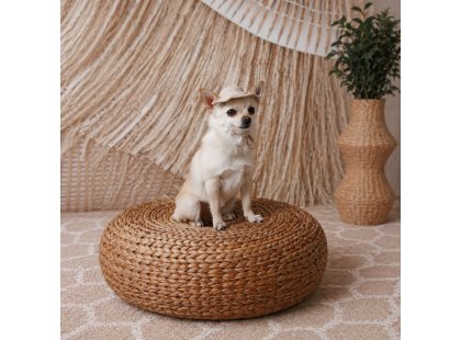 Фото 5 -  одежда Pet Fashion Gold панама для собаки