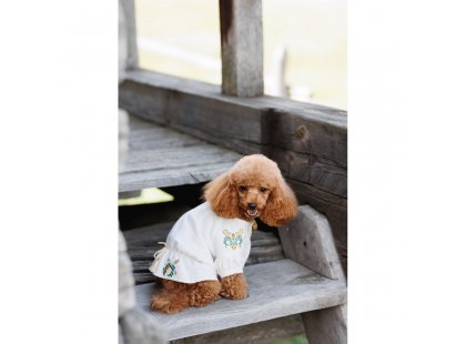 Фото 7 -  одяг Pet Fashion Maryana вишиванка для собак