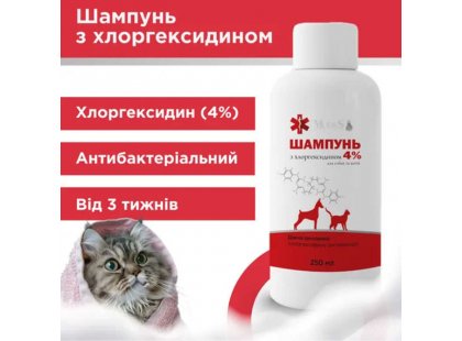 Фото 3 -  лікувальна косметика Modes Антибактеріальний шампунь із хлоргексидином 4% для котів і собак
