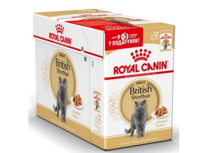 Фото - влажный корм (консервы) Royal Canin BRITISH SHORTHAIR ADULT влажный корм для кошек породы британская короткошерстная