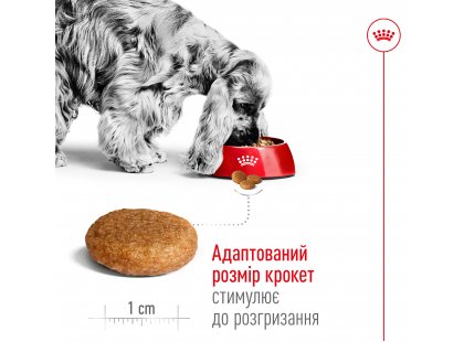 Фото 6 -  сухий корм Royal Canin MEDIUM ADULT (СОБАКИ СЕРЕДНІХ ПОРІД ЕДАЛТ) корм для собак від 12 місяців