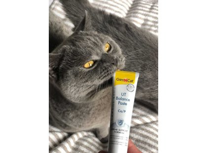 Фото 6 -  лакомства Gimcat Expert Line UT BALANCE паста для профилактики заболеваний мочевой системы у кошек