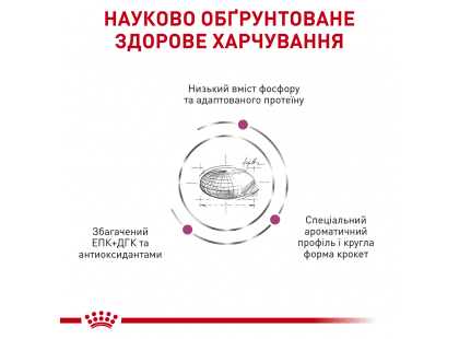 Фото 4 -  ветеринарні корми Royal Canin RENAL RF23 (РЕНАЛ) сухий лікувальний корм для котів від 1 року