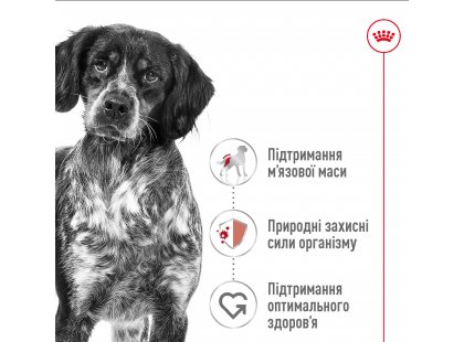 Фото 5 -  сухий корм Royal Canin MEDIUM ADULT (СОБАКИ СЕРЕДНІХ ПОРІД ЕДАЛТ) корм для собак від 12 місяців