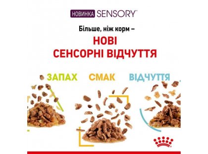 Фото - вологий корм (консерви) Royal Canin SENSORY FEEL JELLY консерви для вибагливих кішок