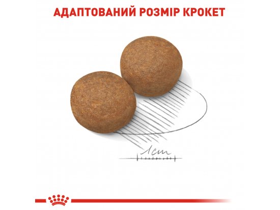 Фото - сухой корм Royal Canin MAXI ADULT (СОБАКИ КРУПНЫХ ПОРОД ЭДАЛТ) корм для собак до 5 лет