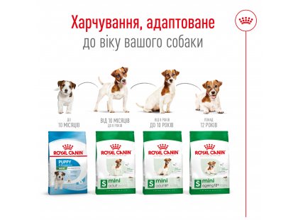 Фото 2 -  сухий корм Royal Canin MINI ADULT 8+ (СОБАКИ ДРІБНИХ ПОРІД ЕДАЛТ 8+) корм для собак від 8 років