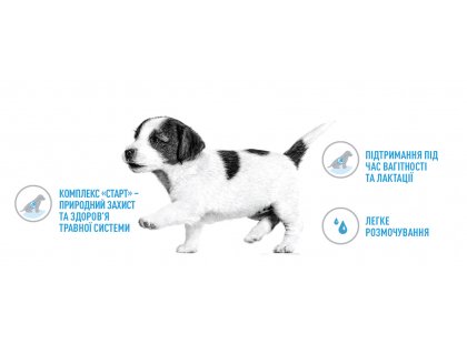 Фото 11 -  сухой корм Royal Canin MINI STARTER MOTHER & BABYDOG корм для беременных и кормящих сук и щенков мини-пород