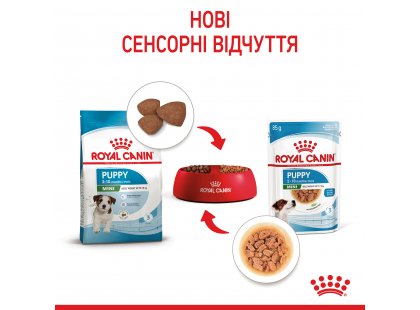 Фото 16 -  вологий корм (консерви) Royal Canin MINI PUPPY вологий корм для цуценят дрібних порід від 2 до 10 місяців