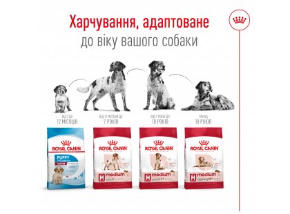 Фото 7 -  сухий корм Royal Canin MEDIUM ADULT 7+ (СОБАКИ СЕРЕДНІХ ПОРІД ЕДАЛТ 7+) корм для собак від 7 років