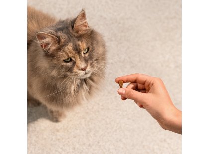 Фото 8 -  лакомства Carnilove Soft Snack Sardine with Strawberry лакомство для кошек САРДИНА И КЛУБНИКА