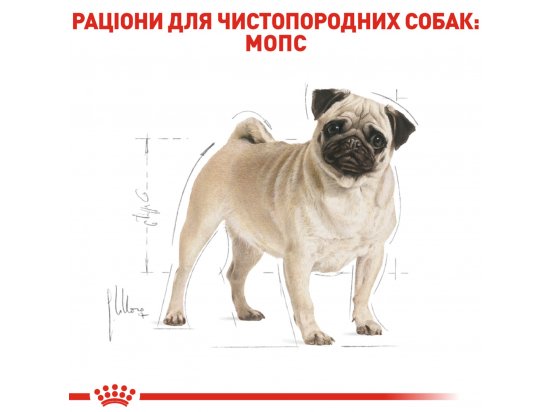 Фото - сухой корм Royal Canin PUG ADULT (МОПС ЭДАЛТ) корм для собак от 10 месяцев