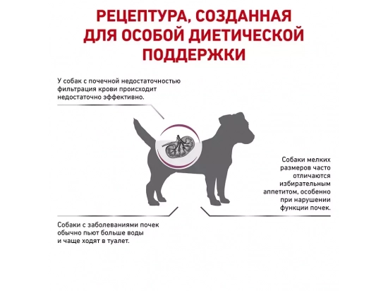 Фото - ветеринарные корма Royal Canin RENAL SMALL DOG корм для собак весом до 10 кг с хронической болезнью почек