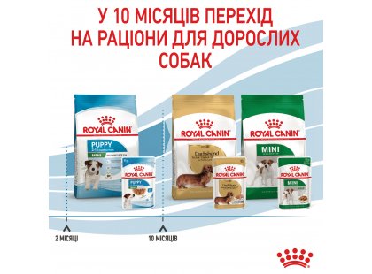 Фото - влажный корм (консервы) Royal Canin MINI PUPPY влажный корм для щенков мелких пород от 2 до 10 месяцев