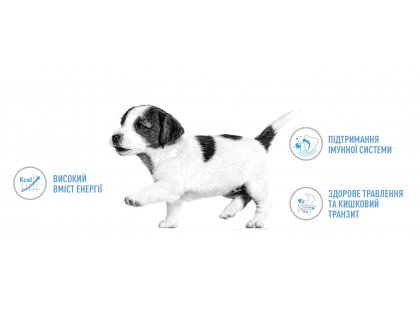Фото 12 -  сухой корм Royal Canin X-SMALL PUPPY (ЩЕНКИ МЕЛКИХ ПОРОД) корм для щенков до 10 месяцев