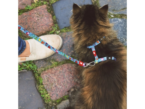 Фото - шлейки, нашийники Max & Molly Urban Pets Cat Harness/Leash Set шлейка з повідцем для кішок Little Monster