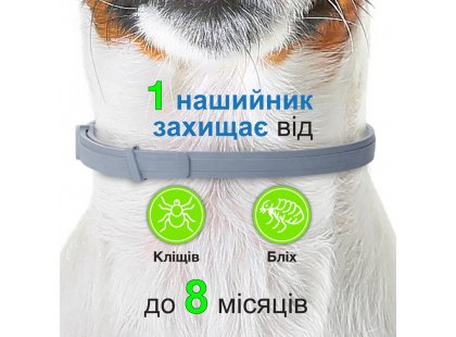 Фото 5 -  від бліх та кліщів Bayer Foresto (Форесто) - Нашийник від кліщів, бліх, вошей та власоїдів для котів та собак вагою менше 8 кг (захист 8 місяців)