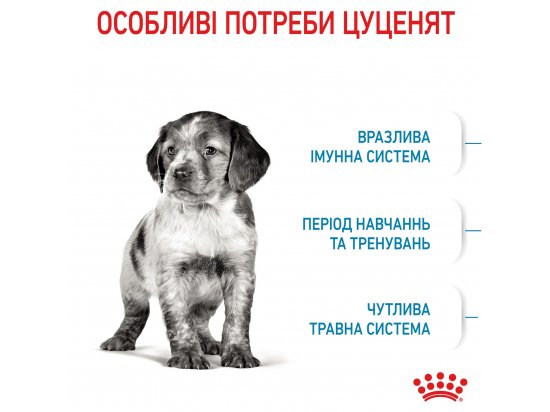 Фото - сухий корм Royal Canin MEDIUM PUPPY корм для цуценят середніх порід від 2 до 12 місяців