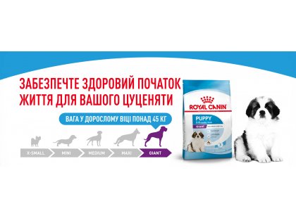 Фото 3 -  сухой корм Royal Canin GIANT PUPPY корм для щенков гигантских пород от 2 до 8 месяцев