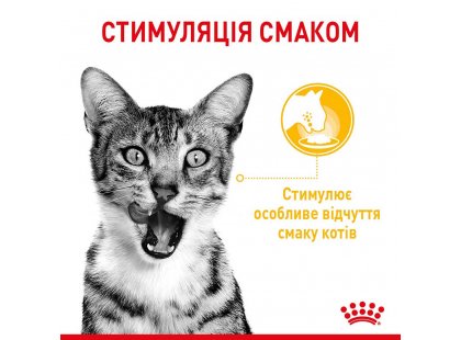 Фото - влажный корм (консервы) Royal Canin SENSORY MULTIPACK GRAVY консервы для привередливых кошек НАБОР