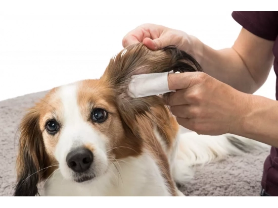 Фото - повседневная косметика Trixie Ear-Care одноразовые салфетки на палец для чистки ушей