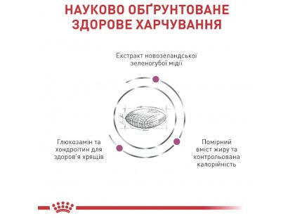 Фото 5 -  ветеринарные корма Royal Canin MOBILITY SUPPORT (МОБИЛИТИ) сухой лечебный корм для собак  для здоровья суставов