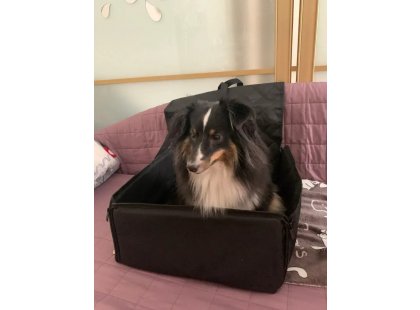 Фото 10 -  аксессуары в авто Senful автокресло для собак и котов со страховочным поводком