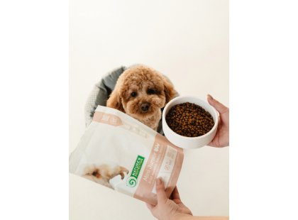 Фото 6 -  сухой корм Natures Protection (Нейчез Протекшин) MINI JUNIOR (МИНИ ЮНИОРЫ КУРИЦА И РИС) корм для щенков малых пород от 2 до 10 месяцев