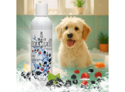 Фото 2 -  повседневный уход (шампуни, кондицонеры и др. средства) Modes Shampoo Wild Berries шампунь для кошек и собак АРОМАТ ЛЕСНЫХ ЯГОД
