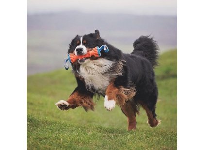 Фото 4 -  игрушки CHUCKIT Rugged Bumper игрушка для собак АПОРТ ГАНТЕЛЬ