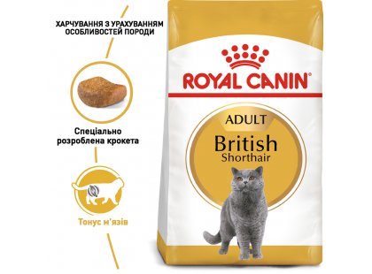 Фото 10 -  сухий корм Royal Canin BRITISH SHORTHAIR (БРИТАНСЬКА КОРОТКОШЕРСНА) корм для кішок