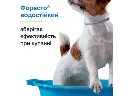 Фото 8 -  від бліх та кліщів Bayer Foresto (Форесто) - Нашийник від кліщів, бліх, вошей та власоїдів для котів та собак вагою менше 8 кг (захист 8 місяців)