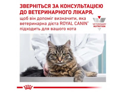 Фото - ветеринарні корми Royal Canin RECOVERY (РЕКАВЕРІ) лікувальний вологий корм для собак та котів