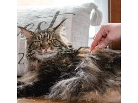 Фото - гребінці, щітки Safari SHEDDING LONG HAIR гребінець для довгої шерсті з дерев'яною ручкою