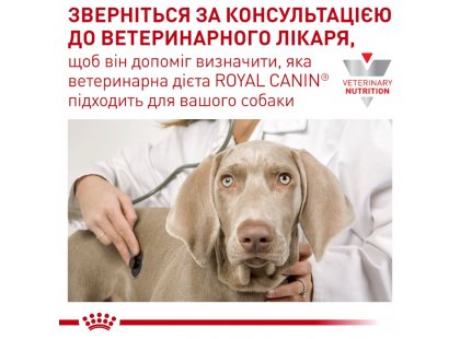 Фото 9 -  ветеринарні корми Royal Canin GASTROINTESTINAL GI25 (ГАСТРО ІНТЕСТИНАЛ) сухий лікувальний корм для собак