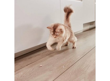 Фото 6 -  вітаміни та мінерали GimCat Nutri Vitamin Bites Immunity Care вітаміни для котів 12 МІЛЬТИВІТАМІНІВ та КУРКА