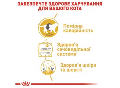 Фото 2 -  влажный корм (консервы) Royal Canin BRITISH SHORTHAIR ADULT влажный корм для кошек породы британская короткошерстная