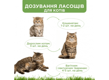 Фото 2 -  лакомства Modes Relax Cat Chicken успокаивающее лакомство для кошек КУРИЦА
