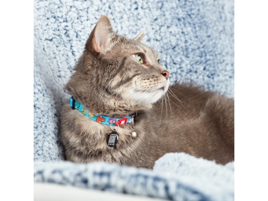 Фото - шлейки, нашийники Max & Molly Urban Pets Smart ID Cat Collar нашийник для кішок Little Monsters,