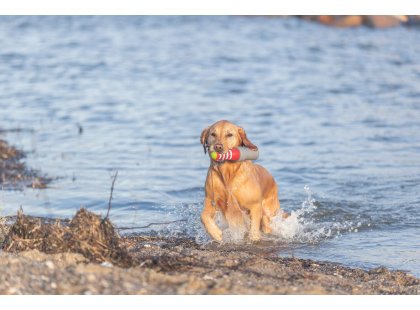 Фото - іграшки Trixie Плаваюча іграшка з канатом МАЯК