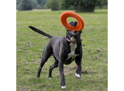 Фото 3 -  игрушки CHUCKIT Rugged Flyer игрушка для собак ЛЕТАЮЩЕЕ КОЛЬЦО, оранжевый