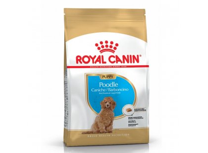 Фото - Royal Canin POODLE PUPPY корм для цуценят пуделя до 10 місяців сухий корм Royal Canin POODLE PUPPY корм для цуценят пуделя до 10 місяців