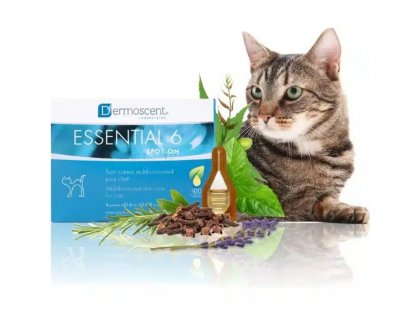 Фото 3 -  лечебные средства Dermoscent (Дермосент) Essential 6 spot-on - Средство по уходу за кожей и шерстью кошек