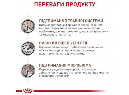 Фото 6 -  ветеринарні корми Royal Canin GASTROINTESTINAL GI25 (ГАСТРО ІНТЕСТИНАЛ) сухий лікувальний корм для собак