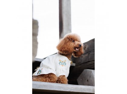 Фото 6 -  одяг Pet Fashion Maryana вишиванка для собак