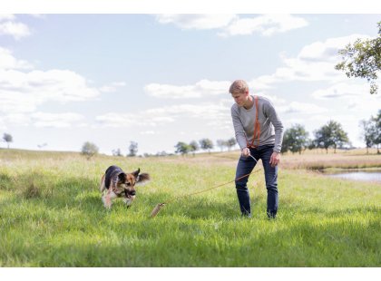 Фото 4 -  дресирування та спорт Trixie Lure Rod іграшка для собак, апорт з телескопічним стрижнем (32145)