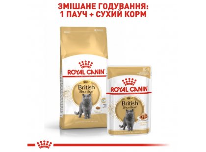 Фото 3 -  влажный корм (консервы) Royal Canin BRITISH SHORTHAIR ADULT влажный корм для кошек породы британская короткошерстная