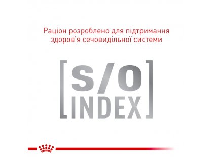 Фото 5 -  ветеринарні корми Royal Canin ANALLERGENIC сухий лікувальний корм для котів